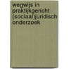 Wegwijs in praktijkgericht (sociaal)juridisch onderzoek door V.A. Meijer