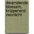 Dwarrelende bloesem, knipperend neonlicht