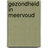 Gezondheid in meervoud