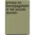 Privacy en beroepsgeheim in het sociale domein