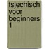 Tsjechisch voor beginners 1