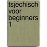 Tsjechisch voor beginners 1 door M. van Duijkeren-Hrabová