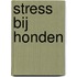 Stress bij honden