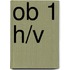 ob 1 h/v