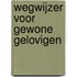 Wegwijzer voor gewone gelovigen