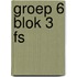 groep 6 blok 3 FS