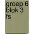 groep 6 blok 3 FS