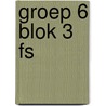groep 6 blok 3 FS by A. van Gool