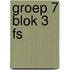 groep 7 blok 3 FS