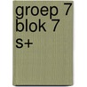 Groep 7 blok 7 S+ door A. van Gool