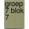 groep 7 blok 7 door A. van Gool