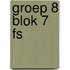 groep 8 blok 7 FS