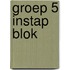 Groep 5 instap blok