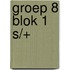 groep 8 blok 1 S/+