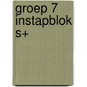groep 7 instapblok S+ door A. van Gool