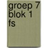 Groep 7 blok 1 FS