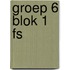 groep 6 blok 1 FS