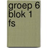groep 6 blok 1 FS by A. van Gool