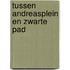 Tussen Andreasplein en Zwarte Pad