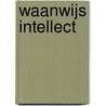 Waanwijs Intellect door Roelofke Balzarelli