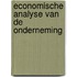Economische analyse van de onderneming