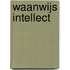 Waanwijs Intellect