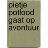 Pietje Potlood gaat op avontuur door Gijs Bikker