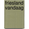 Friesland vandaag by Hans Koppen