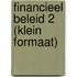Financieel beleid 2 (klein formaat)