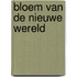 Bloem van de Nieuwe Wereld