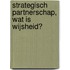 Strategisch partnerschap, wat is wijsheid?