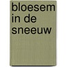 Bloesem in de sneeuw by Sarah Jio
