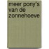 Meer pony's van de Zonnehoeve