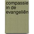 Compassie in de Evangeliën