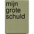 Mijn grote schuld