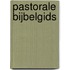 Pastorale bijbelgids