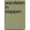 Wandelen in stappen by Jaap de Ruiter