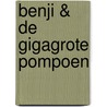 Benji & de gigagrote pompoen door Eefje Kuijl