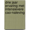Drie jaar ervaring met intensievere cao-naleving by Jan Cremers