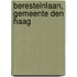 Beresteinlaan, gemeente Den Haag