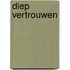 Diep vertrouwen