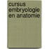 Cursus embryologie en anatomie