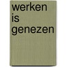 Werken is genezen by Lode Godderis