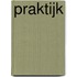 Praktijk