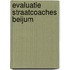 Evaluatie straatcoaches Beijum