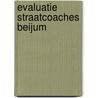 Evaluatie straatcoaches Beijum door Marjolein Boendermaker