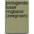 Pictogenda Losse ringband (zeegroen)