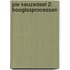 PIE keuzedeel 2: Booglasprocessen