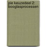 PIE keuzedeel 2: Booglasprocessen door Onbekend