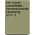 Een mooie zomerliefde ; Hartveroverende verrassing (2-in-1)